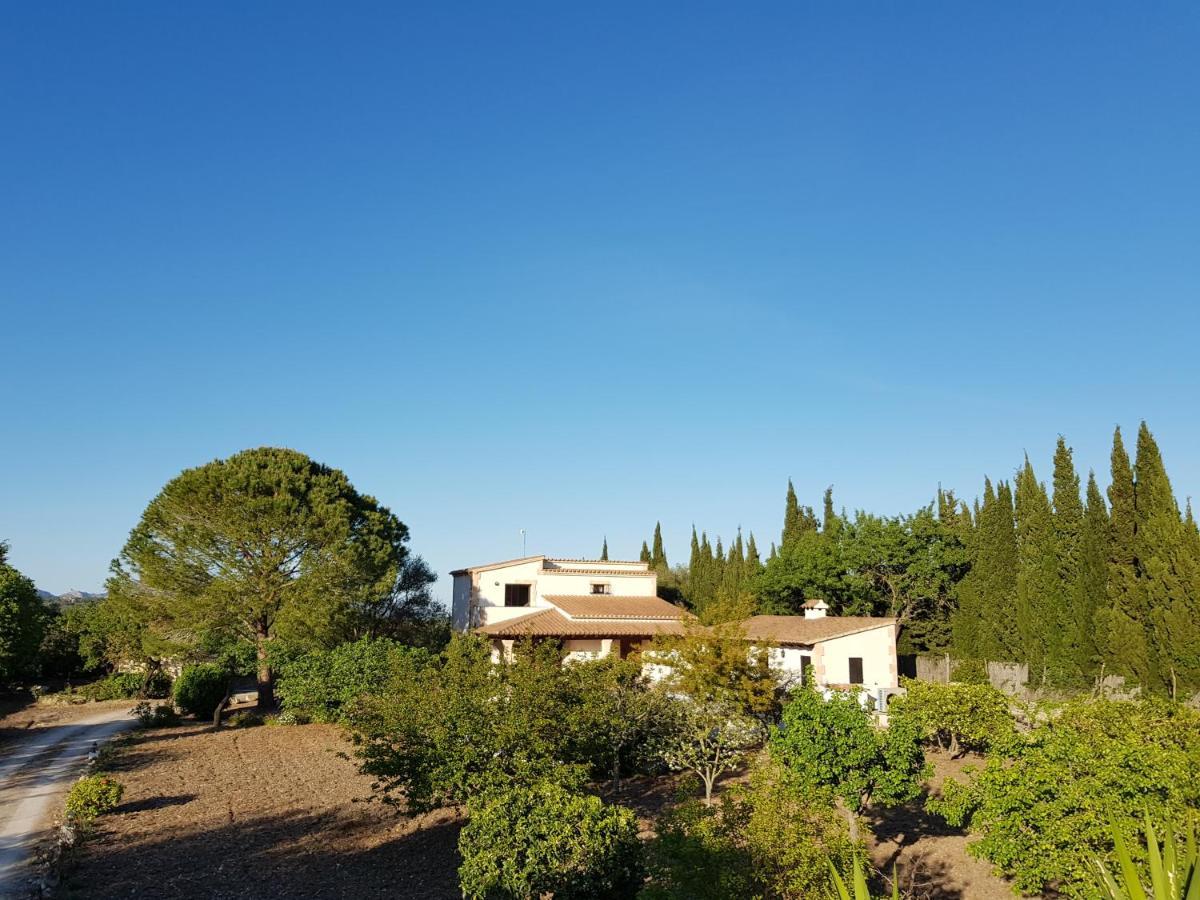 Villa Milagro - 3 Bedroom Finca Style Villa With Pool Near Golf Course/Beaches - Air Cond. Pollença Exteriör bild
